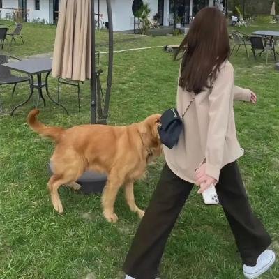 安卓二维码